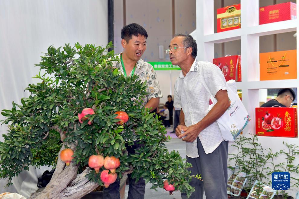 9818连环夺宝游戏大厅